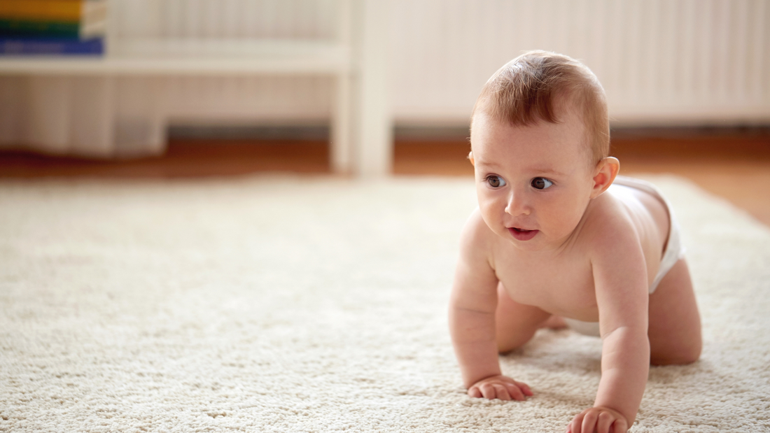 baby crawling on all fours on carpet