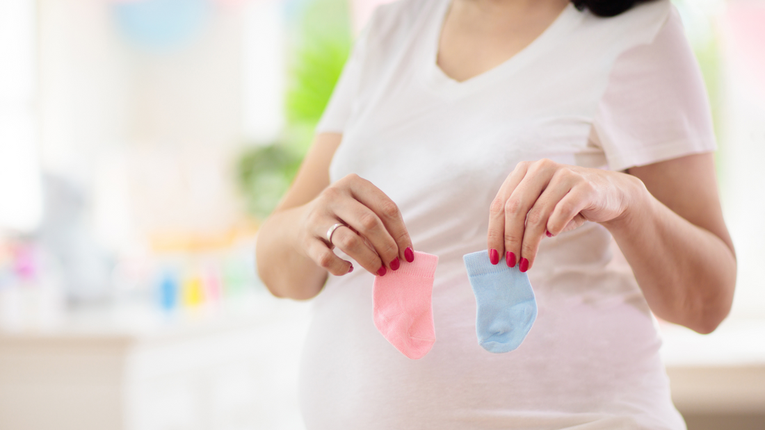 pregnant lady holding blue and pink newborn socks